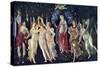 Primavera, C1478, (C1900-192)-Sandro Botticelli-Stretched Canvas