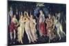 Primavera, C1478, (C1900-192)-Sandro Botticelli-Mounted Giclee Print