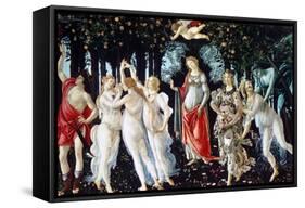 Primavera, C1478-Sandro Botticelli-Framed Stretched Canvas