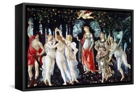Primavera, C1478-Sandro Botticelli-Framed Stretched Canvas