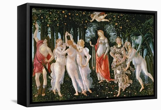 Primavera, circa 1478-Sandro Botticelli-Framed Stretched Canvas