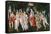 Primavera, circa 1478-Sandro Botticelli-Framed Stretched Canvas