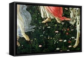 Primavera: Detail of Flowers-Sandro Botticelli-Framed Stretched Canvas