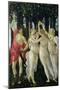 Primavera: Detail of the Three Graces and Mercury-Sandro Botticelli-Mounted Giclee Print