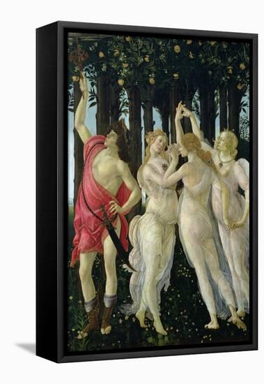 Primavera: Detail of the Three Graces and Mercury-Sandro Botticelli-Framed Stretched Canvas