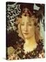 Primavera, Face of Flora-Sandro Botticelli-Stretched Canvas