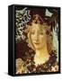 Primavera, Face of Flora-Sandro Botticelli-Framed Stretched Canvas