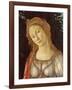 Primavera, Face of Venus-Sandro Botticelli-Framed Art Print
