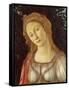 Primavera, Face of Venus-Sandro Botticelli-Framed Stretched Canvas
