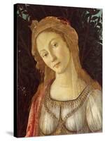 Primavera, Face of Venus-Sandro Botticelli-Stretched Canvas