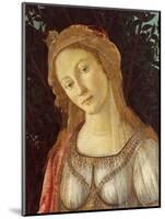 Primavera, Face of Venus-Sandro Botticelli-Mounted Art Print