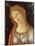 Primavera, Face of Venus-Sandro Botticelli-Mounted Art Print