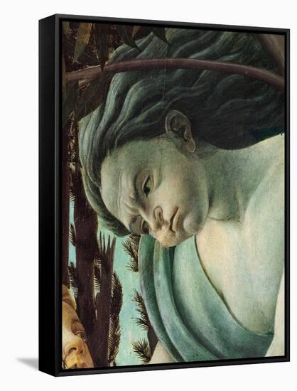 Primavera, Face of Zephyrus blowing-Sandro Botticelli-Framed Stretched Canvas