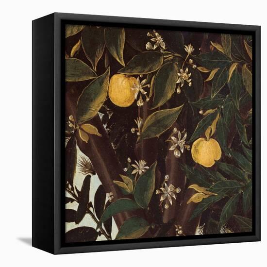 Primavera, Oranges and  blossoms-Sandro Botticelli-Framed Stretched Canvas