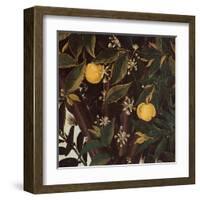 Primavera, Oranges and  blossoms-Sandro Botticelli-Framed Art Print