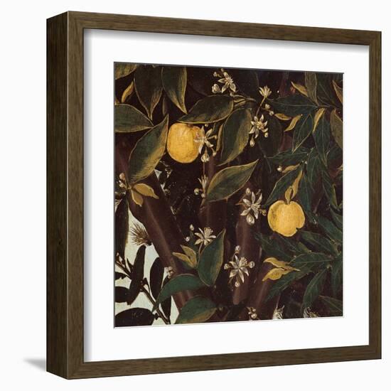 Primavera, Oranges and  blossoms-Sandro Botticelli-Framed Art Print