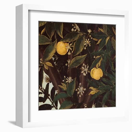 Primavera, Oranges and  blossoms-Sandro Botticelli-Framed Art Print