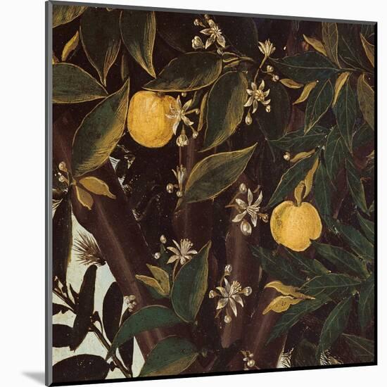 Primavera, Oranges and  blossoms-Sandro Botticelli-Mounted Art Print