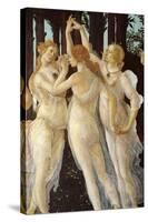 Primavera, Three Graces-Sandro Botticelli-Stretched Canvas