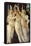 Primavera, Three Graces-Sandro Botticelli-Framed Stretched Canvas