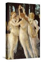 Primavera, Three Graces-Sandro Botticelli-Stretched Canvas