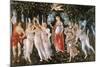 Primavera-Sandro Botticelli-Mounted Giclee Print