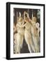 Primavera-Sandro Botticelli-Framed Giclee Print