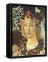 Primavera-Sandro Botticelli-Framed Stretched Canvas