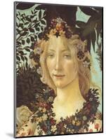 Primavera-Sandro Botticelli-Mounted Giclee Print