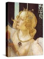 Primavera-Sandro Botticelli-Stretched Canvas