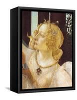 Primavera-Sandro Botticelli-Framed Stretched Canvas