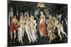 Primavera-Sandro Botticelli-Mounted Art Print