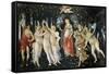 Primavera-Sandro Botticelli-Framed Stretched Canvas