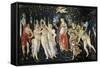 Primavera-Sandro Botticelli-Framed Stretched Canvas