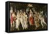 Primavera-Sandro Botticelli-Framed Stretched Canvas