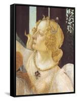 Primavera-Sandro Botticelli-Framed Stretched Canvas