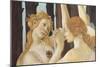 Primavera-Sandro Botticelli-Mounted Premium Giclee Print