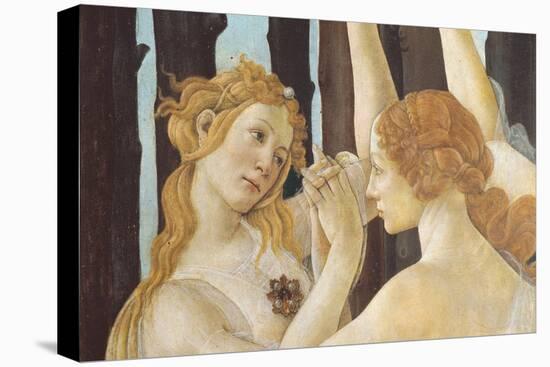 Primavera-Sandro Botticelli-Stretched Canvas