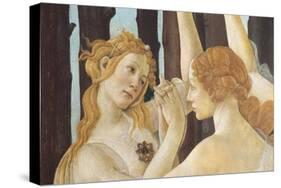 Primavera-Sandro Botticelli-Stretched Canvas