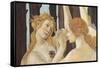 Primavera-Sandro Botticelli-Framed Stretched Canvas