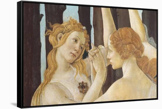 Primavera-Sandro Botticelli-Framed Stretched Canvas