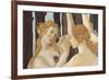 Primavera-Sandro Botticelli-Framed Giclee Print