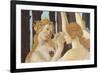 Primavera-Sandro Botticelli-Framed Giclee Print