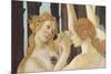 Primavera-Sandro Botticelli-Mounted Giclee Print