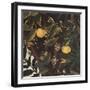 Primavera-Sandro Botticelli-Framed Giclee Print