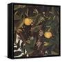 Primavera-Sandro Botticelli-Framed Stretched Canvas