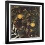 Primavera-Sandro Botticelli-Framed Giclee Print