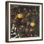 Primavera-Sandro Botticelli-Framed Giclee Print