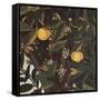 Primavera-Sandro Botticelli-Framed Stretched Canvas