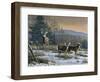 Prime Time - Whitetail Deer-Wilhelm Goebel-Framed Giclee Print